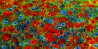 Papaver schilderij van Marion Tenbergen thumbnail