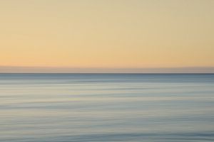 Bicoloured - Dageraad bij de zee