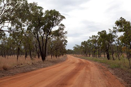 Route rouge dans le parc volcanique Undara, Australie.