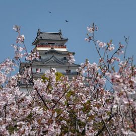 Japanese castle in spring by Anges van der Logt