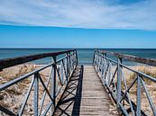 Brücke zum Strand an der Ostsee in Deutschland von Animaflora PicsStock Miniaturansicht