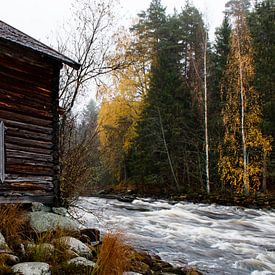 Moulin à eau à un rythme rapide sur Theo Kamans