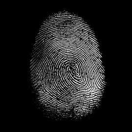 Fingerprint portrait by TheXclusive Art