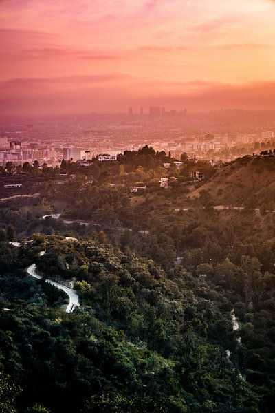 Los Angeles by Hello Pompoyo