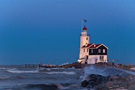 Paard van Marken - Cheval de Marken