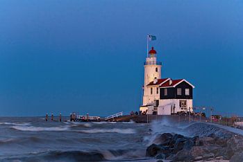 Paard van Marken - Pferd von Marken