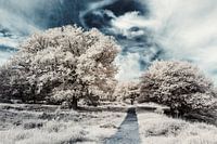 Paysage de conte de fées avec un ciel spectaculaire. Tirage photo infrarouge