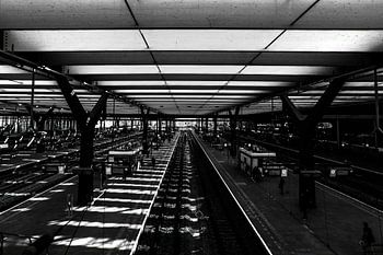 Rotterdam, C.S. insight