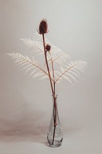 Mocca Vintage 5
