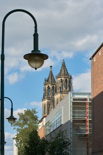 Uitzicht op de Dom van Magdeburg