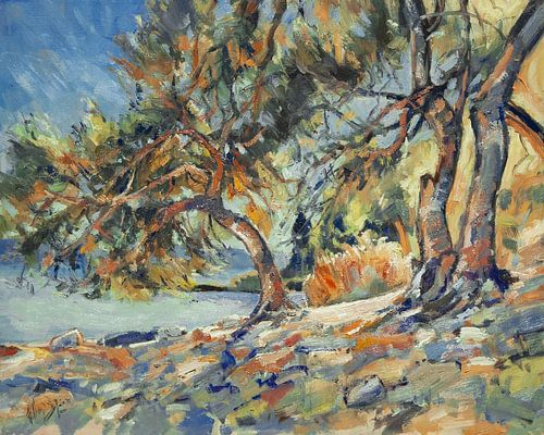 Olijfbomen op het strand