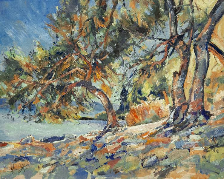 Olive trees on the beach by Nop Briex