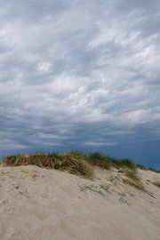 Duinen in mei