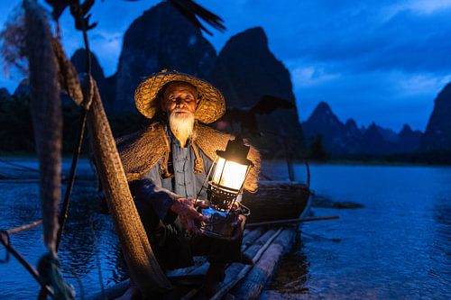 Fisch mit Kormoranen