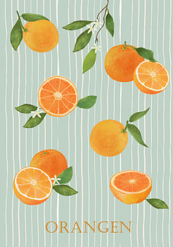 De mediterrane citruswereld - Sinaasappels
