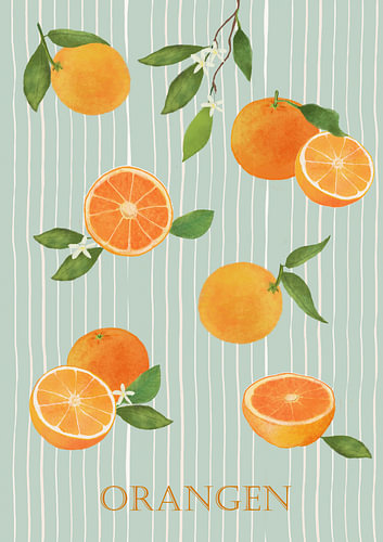 De mediterrane citruswereld - Sinaasappels