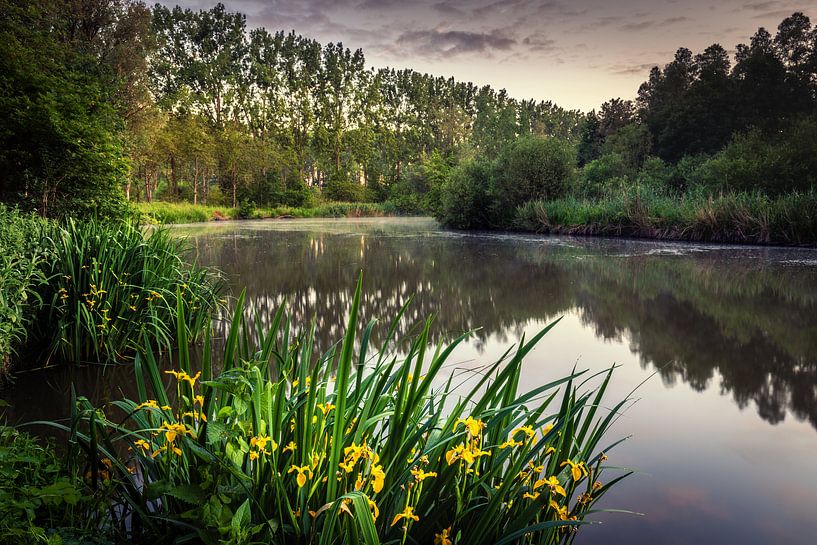 Au bord du lac par Wim van D