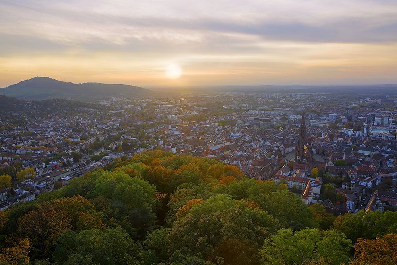 Freiburg von oben von Patrick Lohmüller