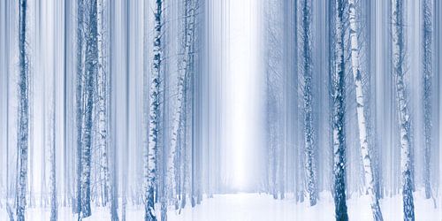 Blauwe winter