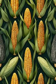 Mais im Überfluss ernten von pungky setiawan