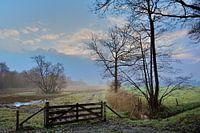 Natuurgebied Allemanskamp