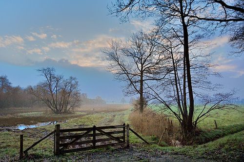 Natuurgebied Allemanskamp