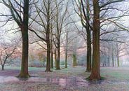 Landschaft, Frost in den Bäumen. von Marcel Kieffer Miniaturansicht
