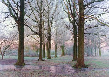 Landschap, vorst in de bomen. van Marcel Kieffer