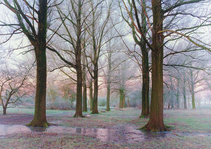 Landschap, vorst in de bomen. van Marcel Kieffer