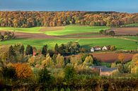 Vakwerkhuizen in herfstkleuren in Zuid-Limburg van Frans Lemmens thumbnail
