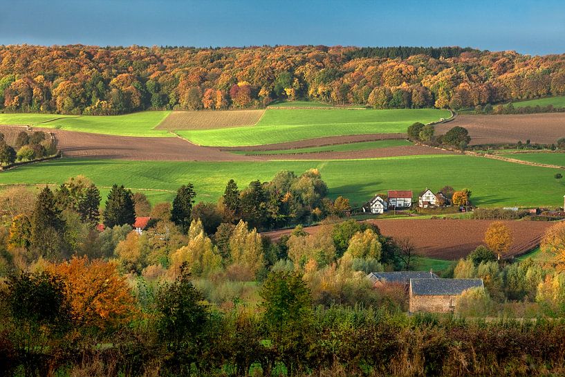 Vakwerkhuizen in herfstkleuren in Zuid-Limburg van Frans Lemmens