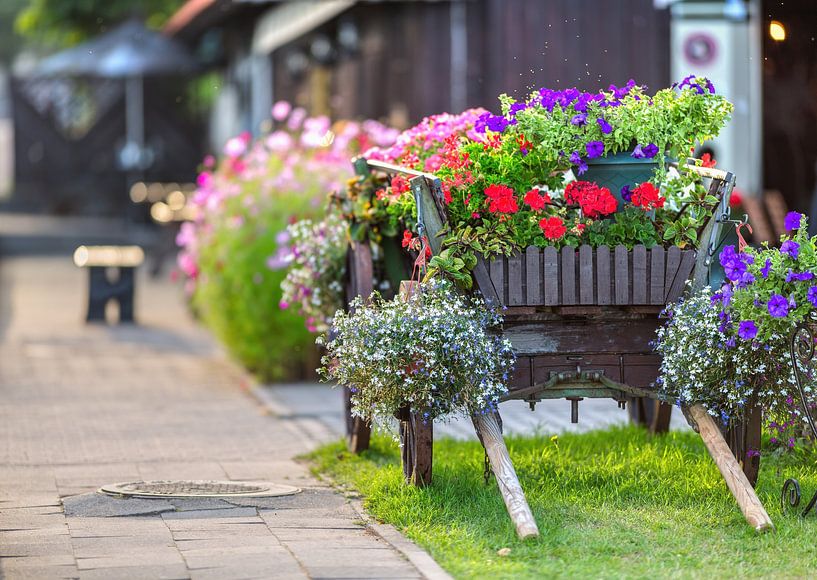 Oude houten kar herbouwd als bloembed. van Yevgen Belich
