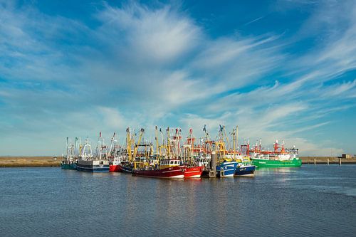 Vissersschepen in de haven van Lauwersoog