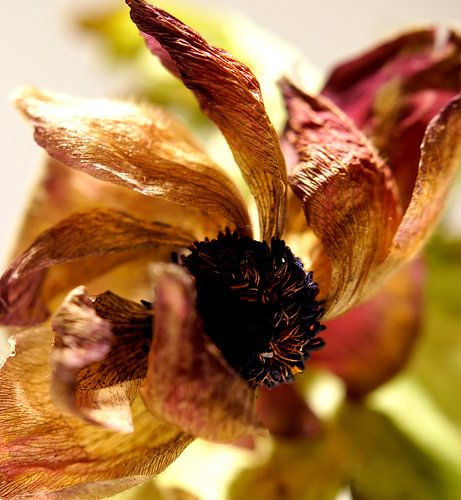 Death is not the End