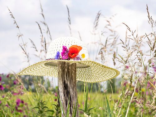 summer is here