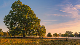 Sunrise in the Cotswolds, Wiltshire, England by Henk Meijer Photography