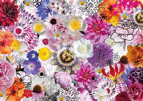 Flower Explosion | Pictures & illustrations