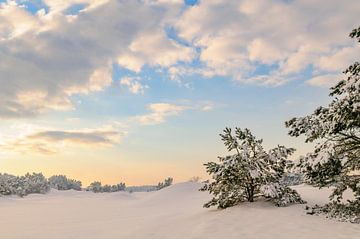Winterlandschap met sneeuw in op de Veluwe van Sjoerd van der Wal