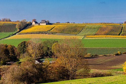 The Jeker valley with a view of the apostelhoeve  in the warm autumn colours