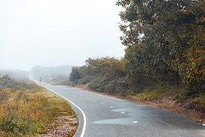 La route à travers les dunes de Noordwijk