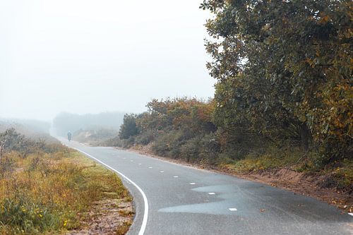Fietspad door de Noordwijkse duinen