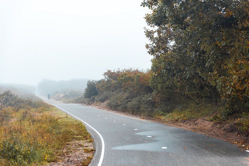 The road through the Noordwijk dunes by Yanuschka | Fotografie Noordwijk