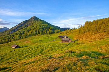 Die schöne Lackenalm mit dem Lackenkogel von Christa Kramer