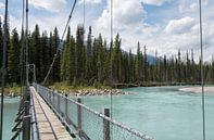 Banff National Park, Canada van Daniel Van der Brug thumbnail