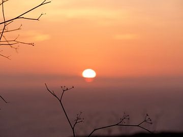 Takjes bij zonsondergang