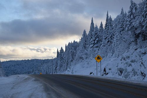 Een landweg in de winter