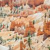 Bryce Canyon Utah Landschaft von Patrycja Polechonska