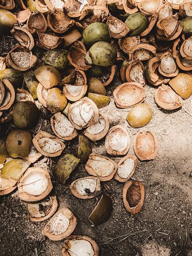 Kokosnüsse / Ubud - Bali