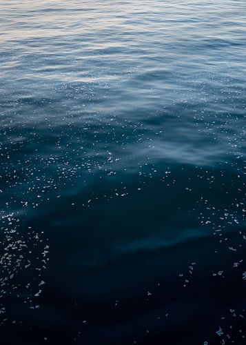 Ein ruhiges blaues Meer II