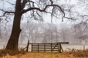 Herfst in de Smeerling. van Ton Drijfhamer